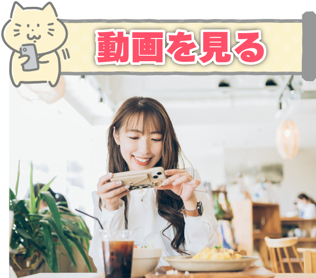動画を見る